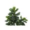 Monarch Specialties Artificial Plant, 47" Tall, Fiddle Tree, Indoor, Faux, Fake, Floor, Greenery, Potted, Real Touch I 9541 - alternate 2